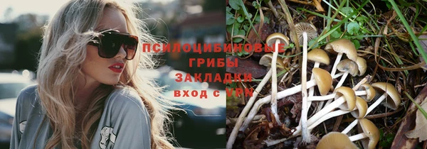 каннабис Володарск