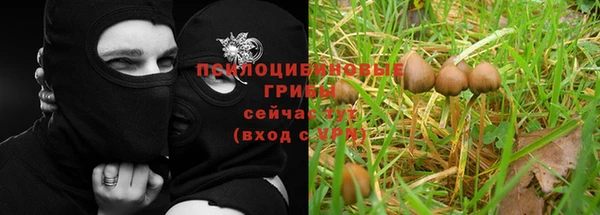 твердый Волосово