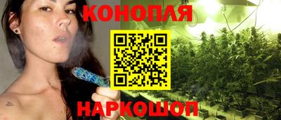 мяу мяу мука Гусь-Хрустальный