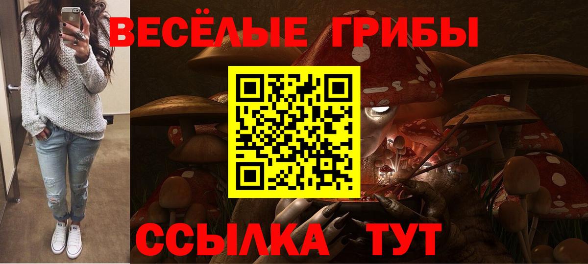 Галлюциногенные грибы Cubensis Глазов