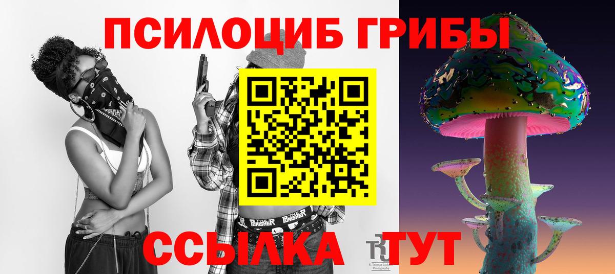 Глазов  Псилоцибиновые грибы ЛСД  Вход с VPN 